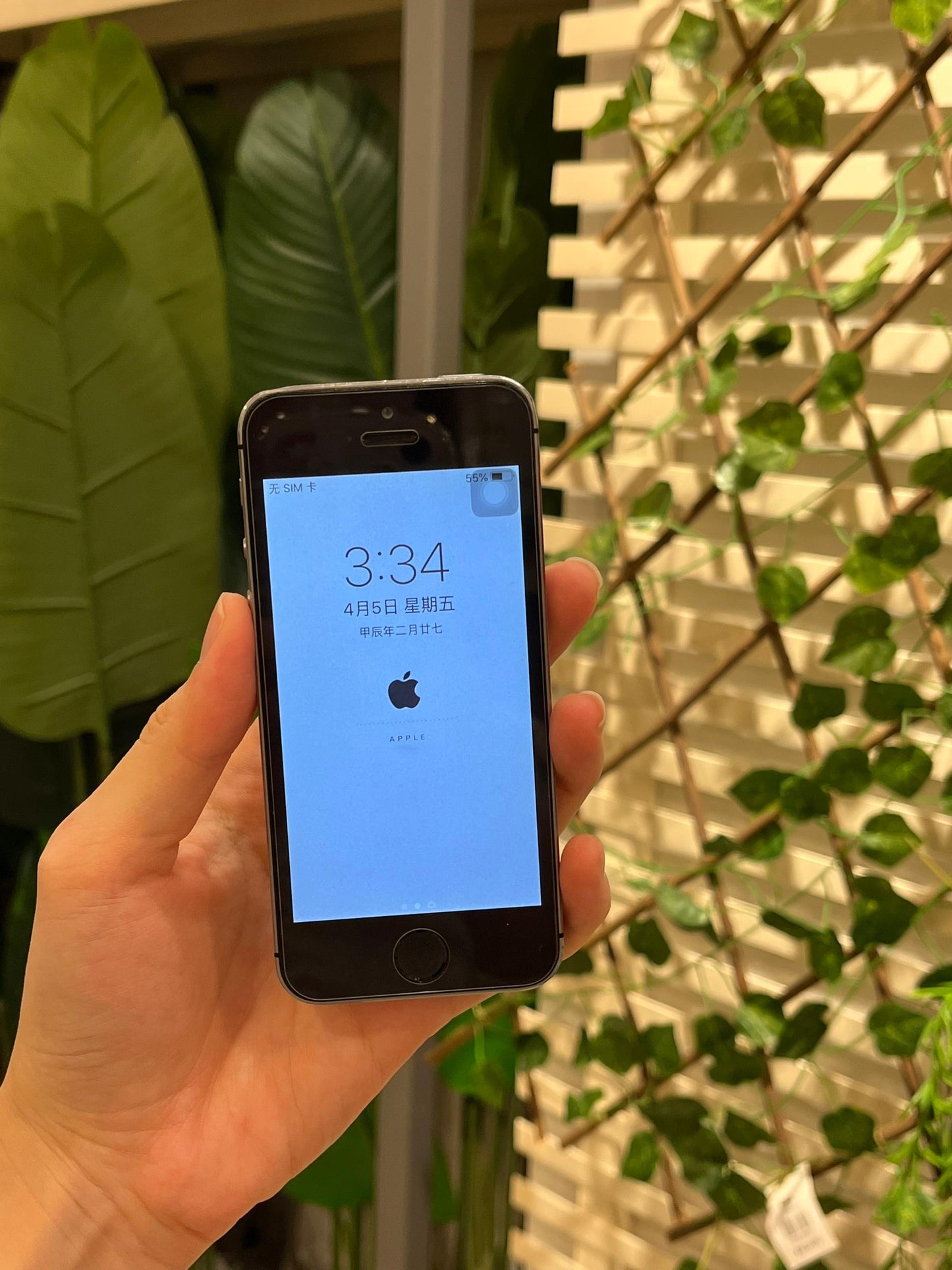 正品二手苹果5s Iphone 5s 16gbWifi版本备用机氛围感相机游戏机