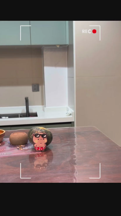Bubu Dudu Dress-Up Fridge Magnets